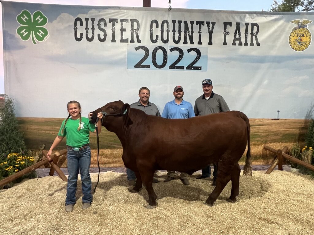 4h Auction